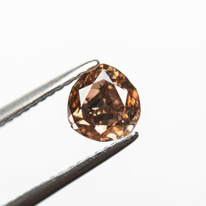 
            
                Load image into Gallery viewer, 1.00ct 6.08x5.67x3.42mm GIA SI1 Fancy Brown-Pink Trillion Brilliant 🇦🇺 24113-01
            
        