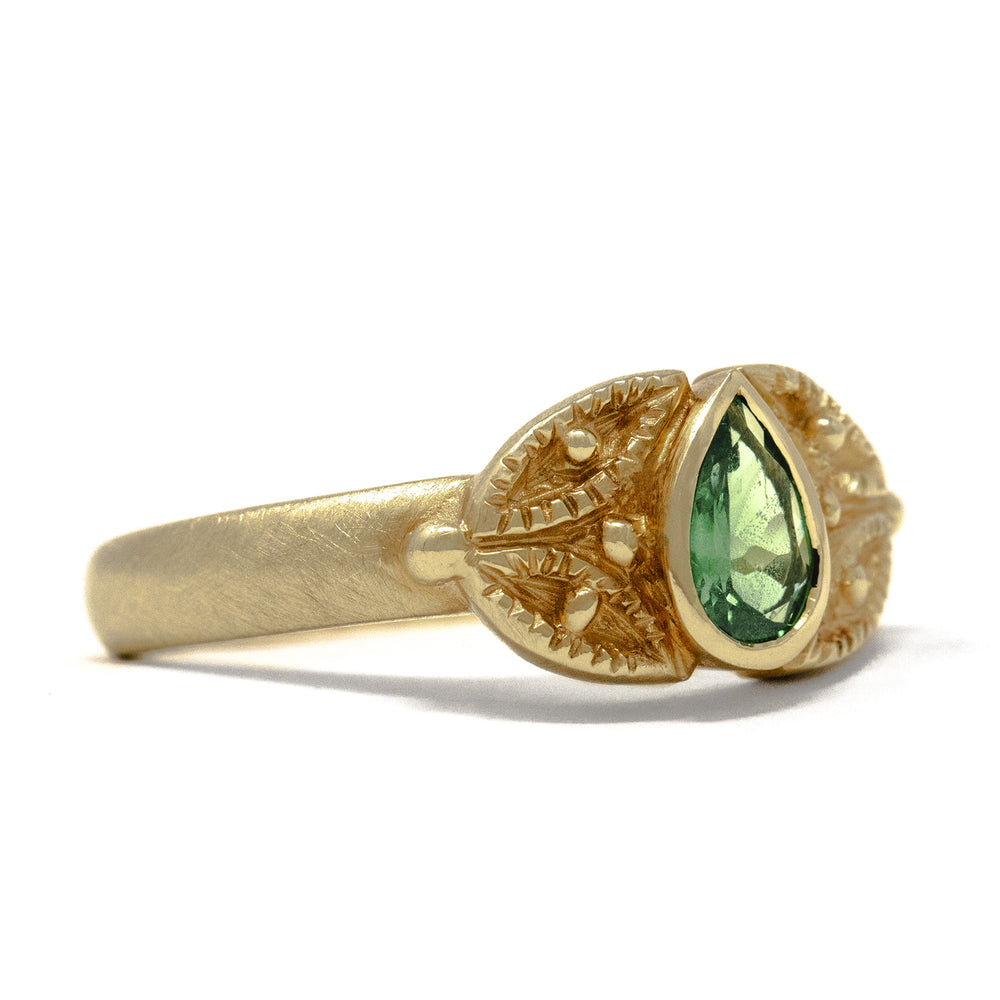 Gladstone Ring
